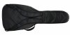 Reunion Blues RBX Semi-hollow guitar Gig Bag